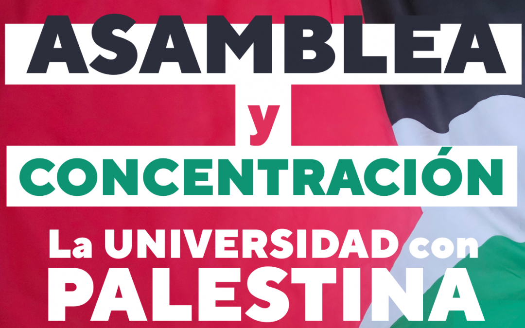 Huelga General por Palestina, Miércoles: 15/10/2025